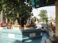 Asisbiz Kyaik Ka San Pagoda bodi tree South Oak ka lar township 2009 01