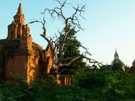 Asisbiz Bagan Payathonzu panoramic surrounds Nov 2004 14