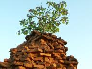 Asisbiz Bagan Payathonzu panoramic surrounds Nov 2004 32