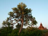 Asisbiz Bagan Payathonzu panoramic surrounds Nov 2004 34