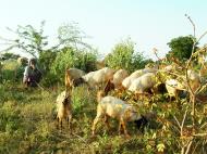 Asisbiz Bagan Payathonzu panoramic surrounds locals Nov 2004 02