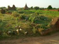 Asisbiz Bagan Payathonzu panoramic surrounds locals Nov 2004 03