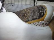 Asisbiz Shwethalyaung Buddha second largest Buddha in the world Bago 16