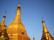 Asisbiz Yangon Sule Pagoda goldern stupa Jan 2010 28