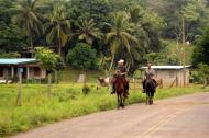 Asisbiz Panama Transport Horses Panamanian Cowboys Jun 2004 01