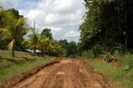 Asisbiz Panama Tree Plantations Farms Jun 2004 00