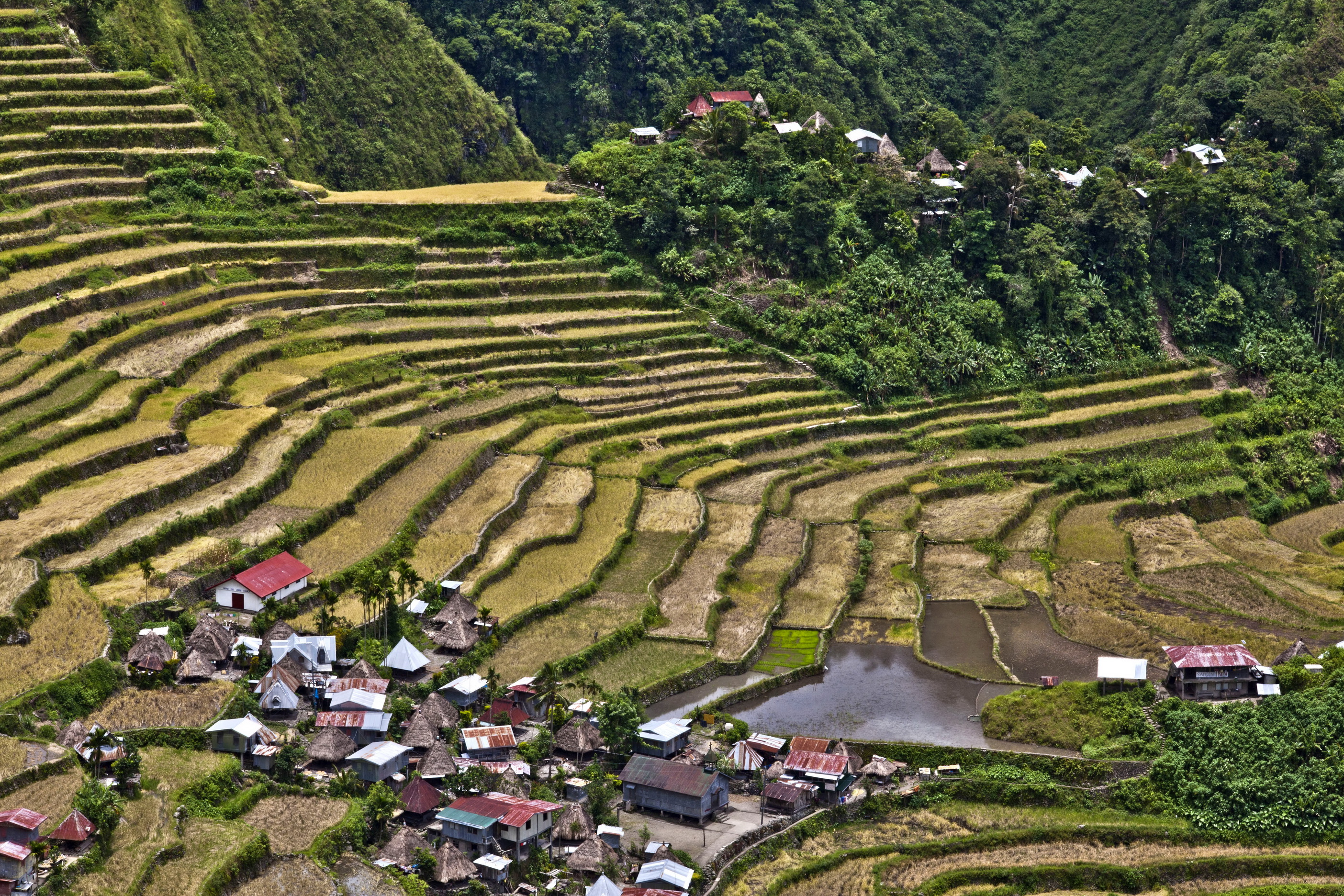Batad Rice Field Terraces In Ifugao Province Banaue Philippines Stock