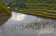 Asisbiz Banaue Batad Rice Terraces Ifugao Province Philippines Aug 2011 21