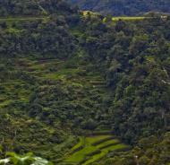 Asisbiz Banaue Mayoyao Aguinaldo Potia Ramon Rd scenic views Aug 2011 14