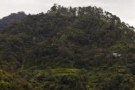 Asisbiz Banaue Mayoyao Aguinaldo Potia Ramon Rd scenic views Aug 2011 18