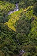 Asisbiz Banaue Mayoyao Aguinaldo Potia Ramon Rd scenic views Aug 2011 23