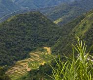 Asisbiz Banaue Mayoyao Aguinaldo Potia Ramon Rd scenic views Aug 2011 50
