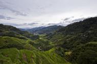 Asisbiz Banaue Rice Terraces Ifugao Province Philippines Aug 2011 09
