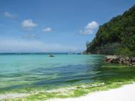 Asisbiz Green algae pollution Philippines Sugar Islands Boracay Punta bunga beach Resorts 2007 01