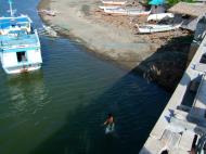Asisbiz Kids diving of Naujan Estrella bridge Oriental Mindoro Philippines Feb 2006 37