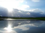 Asisbiz sky reflections rice paddies Calapan to Pinamalayan Oriental Mindoro Philippines Feb 2006 02