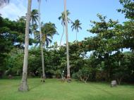 Asisbiz Postioning the drop Tabinay Oriental Mindoro Philippines 01