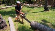 Asisbiz Step by step guide on how to cut straight using chainsaw to produce coco lumber Philippines 02