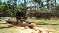Asisbiz Step by step guide on how to cut straight using chainsaw to produce coco lumber Philippines 08