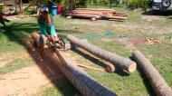 Asisbiz The master shows step by step how to cut straight using chainsaw to produce coco lumber Philippines 04