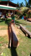 Asisbiz The master shows step by step how to cut straight using chainsaw to produce coco lumber Philippines 06