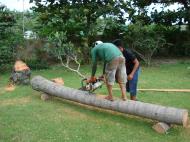 Asisbiz Turning logs into useful lumber beams note the safety equipment but what skill Tabinay Philippines 05