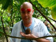 Asisbiz Endangered Philippine Tarsier Tarsius syrichta Maumag Cebuano Visayan 05