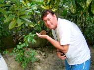 Asisbiz Endangered Philippine Tarsier Tarsius syrichta Maumag Cebuano Visayan 06