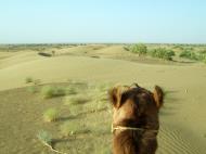 Asisbiz Camel Safari India Rajasthan Jaisalmer 17
