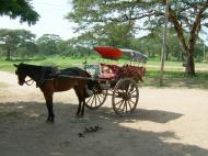 Asisbiz Horse and Cart Myanmar Pagan 01