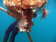 Asisbiz Coron dive site 2 Wreck dive IJN Taiei Maru July 2005 23