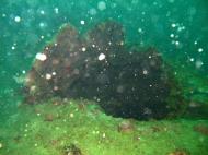 Asisbiz Coron dive site 2 Wreck dive IJN Taiei Maru July 2005 24