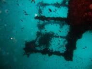 Asisbiz Coron dive site 8 Wreck dive IJN Olympia Maru July 2005 05