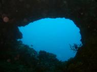 Asisbiz Philippines Cebu Moal Boal 20051227 Dive 1 Pescador Island 15