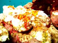 Asisbiz Philippines Cebu Moal Boal 20051227 Dive 1 Pescador Island 38