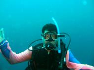 Asisbiz Philippines Cebu Moal Boal 20051227 Dive 1 Pescador Island 58