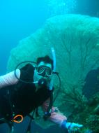 Asisbiz Philippines Cebu Moal Boal 20051227 Dive 1 Pescador Island 59