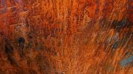 Asisbiz Textures Steel Rusted Metal Sheeting Machinary 18