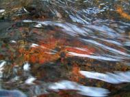 Asisbiz Textures Flowing Water Kondalilla Falls Reflections Nature 03