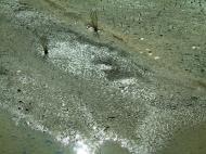 Asisbiz Textures Sand Mud Footprints baked Earth 01