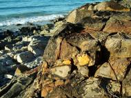 Asisbiz Textures Rocks Stones Pebbles Noosa National Park 03