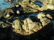 Asisbiz Textures Rocks Stones Pebbles Noosa National Park 07