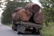 Asisbiz Panama Transport Truck broken down after a blown tyre 200406 01