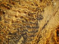 Asisbiz Textures Beach Sand Water Ripple Efects Marcus Beach 19