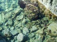 Asisbiz Textures Noosa Beach Life saltwater ponds 01