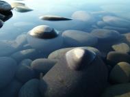 Asisbiz Textures Stones Pebbles Noosa National Park 07