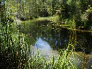 Asisbiz Textures Water Pond 01