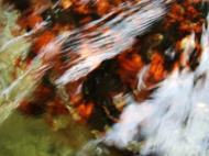 Asisbiz Textures Water Refections Nature Creek 08