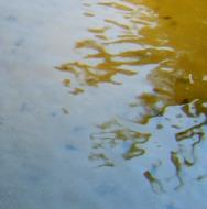 Asisbiz Textures Water Tadpoles Pond 02