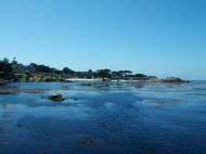 Asisbiz Textures saltwater Monterey Carmel seashore Marine life 11